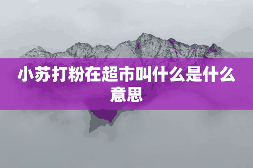 小苏打粉在超市叫什么是什么意思